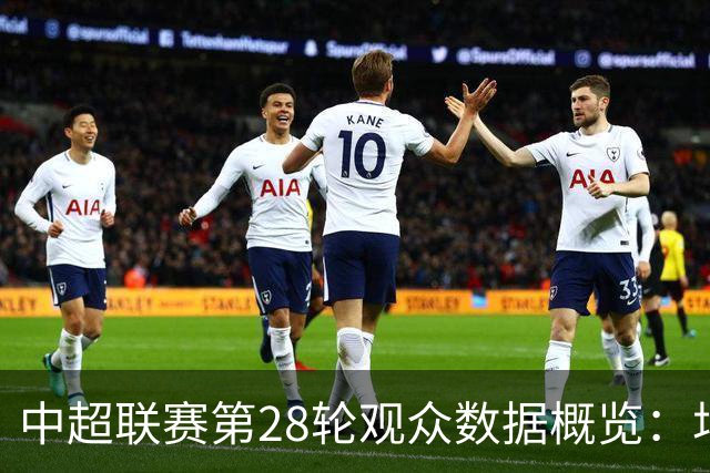 中超联赛第28轮观众数据概览：场均26320人，英博主场人数最高